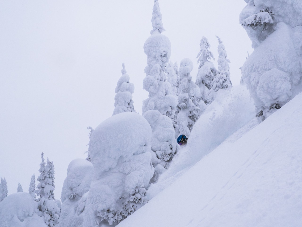 Skiing McGill Shoulder