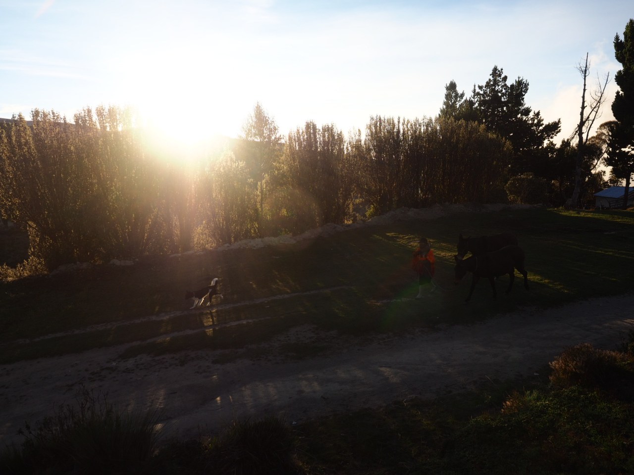 OLYMPUS DIGITAL CAMERA