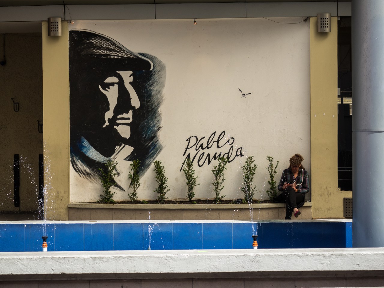 OLYMPUS DIGITAL CAMERA