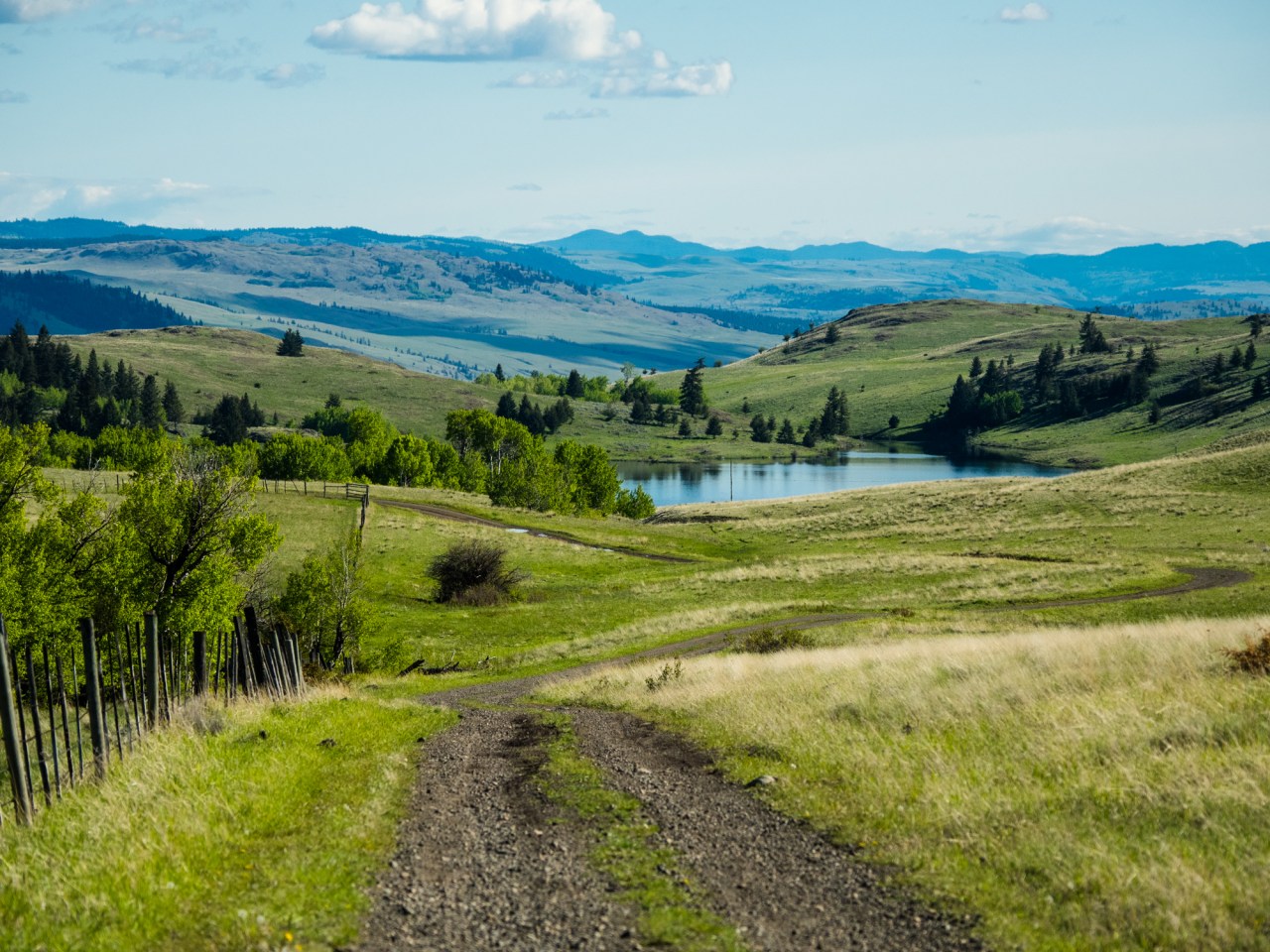 BC Grasslands Extravaganza