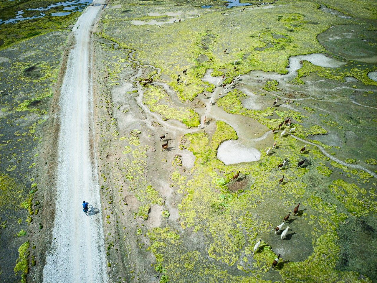 Return to Peru, Part 4: To the Bottom of Cotahuasi Canyon
