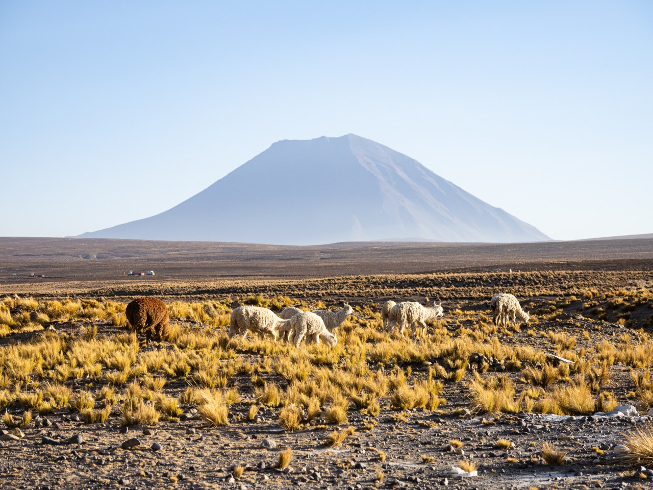 Return to Peru, Part 5: The Final&nbsp;Stretch